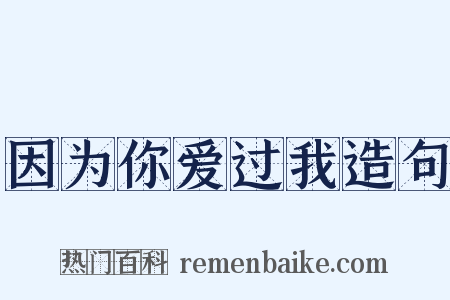 因为你爱过我造句是什么意思的图片